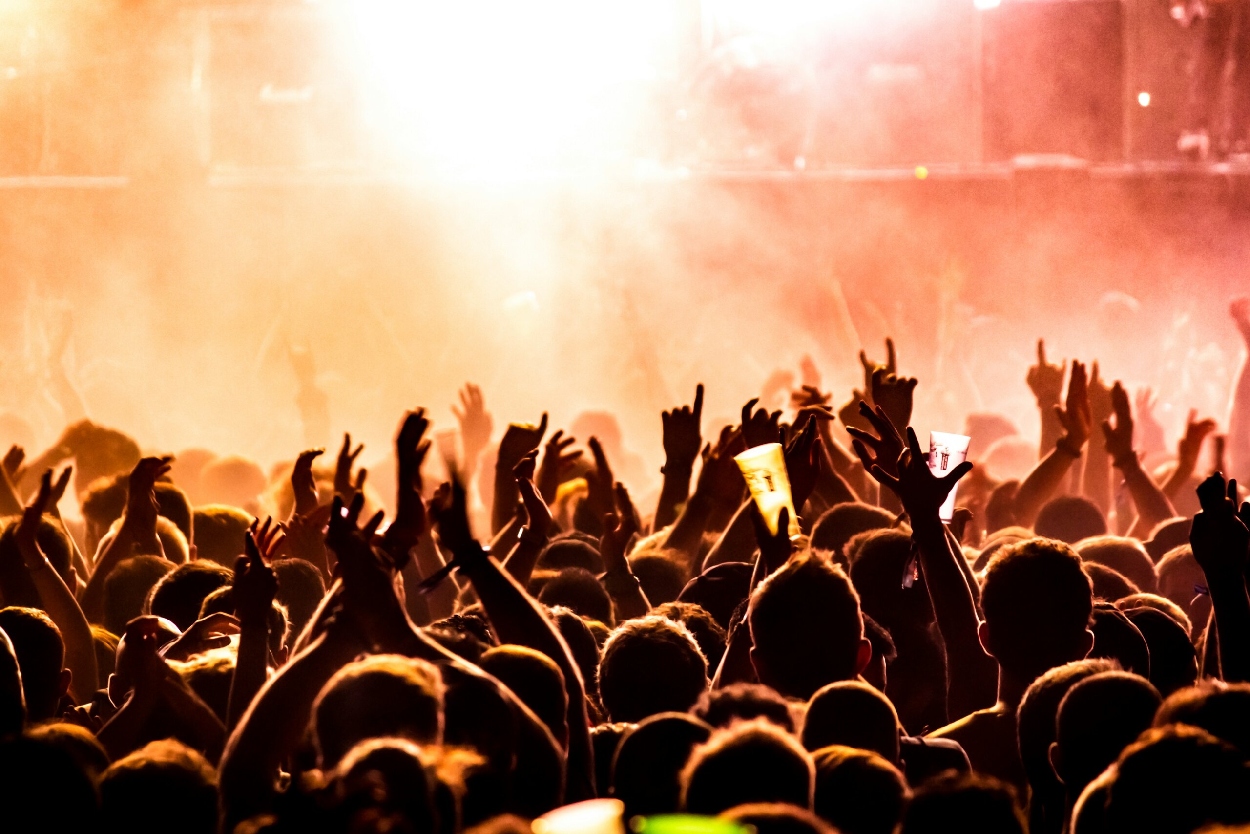l'industrie de la musique live bat son plein Une foule dont on ne voit que les têtes de dos et les bras levés sont devant une scène floutée